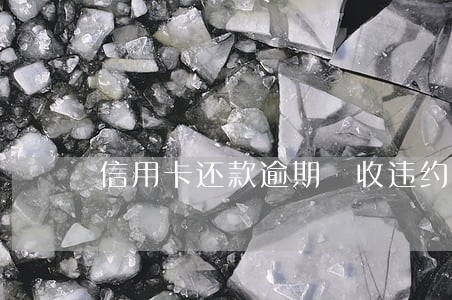 信用卡还款逾期 收违约金 信用卡还款逾期 收违约金